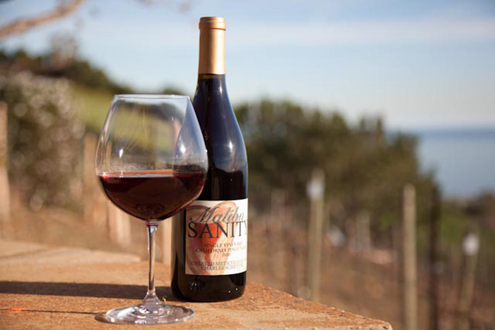 pinotledge